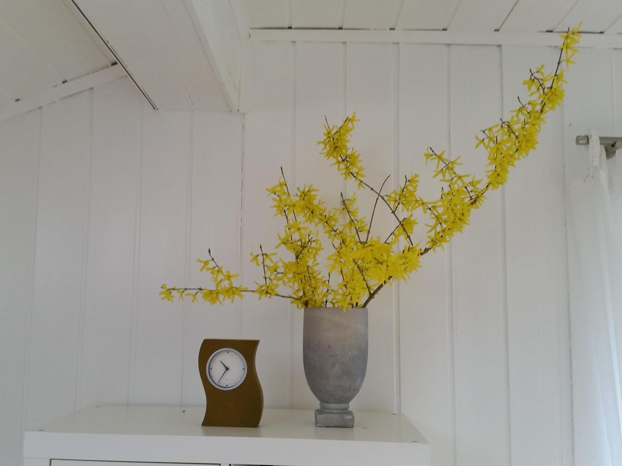 Fewo Am Wald Balve Room photo
